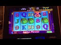 Massive Jackpot on Lotus Flower! *High Limit handpay