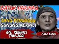 MISTERI DATUK HARIMAU SANG PENUNGGU GUNUNG KERINCI | PENDAKIAN ARYA SENA DI GUNUNG KERINCI 2002