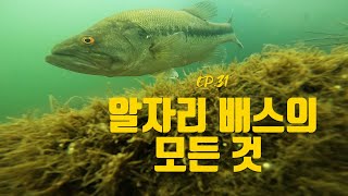 [박기현의 피싱로그99.9] #31 알자리 배스의 모든 것