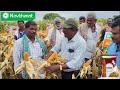 నవ్ భారత్ హైబ్రిడ్ మక్క ఎవరెస్ట్ maize bestseeds qualityseeds farmerschoice agriculture  corn