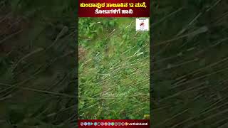 ಕುಂದಾಪುರ ತಾಲೂಕಿನಲ್ಲಿ ಸುಂಟರಗಾಳಿ ಹಾವಳಿ  | Kundapura