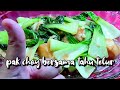 Pak choy bersama tauhu telur | resepi pak choy masak sos tiram mudah