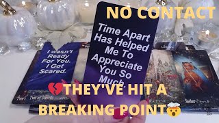 💖NO CONTACT💔THEY'VE HIT A BREAKING POINT🤯SLEEPLESS NIGHTS & SECOND CHANCES💌✨COLLECTIVE LOVE TAROT💓✨