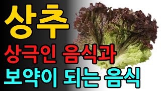 상추와 상극인 음식 같이 드시면 좋지 않아요! 노년기 건강을 위해 먹는 상추 - 궁합이 좋은 음식들과 상추로 고혈압 치매 예방하기 까지