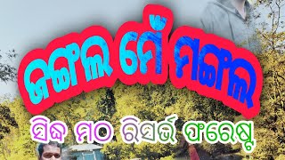 ସକାଳର କଅଁଳ ଖରାରେ ଜଙ୍ଗଲ ବୁଲା