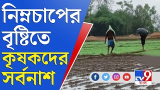 অকাল বর্ষণে মাঠেই ধান নষ্ট হওয়ার আশঙ্কা | Jawad Cyclone | Paddy Field