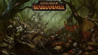 Total War Warhammer - The Wood Elves Lore, Army, Units and Tactics