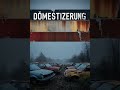 apokalyptische welt teil 1 hörbuch apokalypse zombie