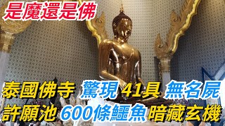 是魔還是佛？泰國佛寺驚現41具無名屍！許願池600條鱷魚暗藏玄機！【奇趣天下】#奇聞#新聞#社會#奇葩#事件