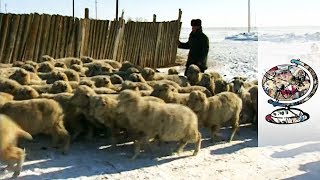 The Eccentric Leader of the Russian Republic of Kalmykia (1998)