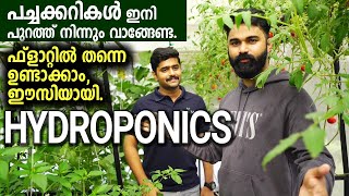 HYDROPONICS | പച്ചക്കറികൾ  ഇനി പുറത്ത് നിന്നും വാങ്ങേണ്ട. ഫ്ലാറ്റിൽ തന്നെ ഉണ്ടാക്കാം, ഈസിയായി.