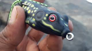 lucana frog lure for sneakhead fishing in Kerala.