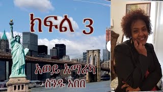 አወይ አማሪካ ክፍል 3