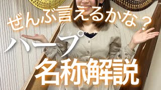 【保存版】ハープ 各パーツの名称をわかりやすく解説！初心者 グランドハープ/アイリッシュハープ/吹奏楽部 初心者必見/Irish harp