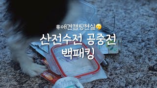 혼자 강아지랑 계곡 백패킹가서 생긴 일