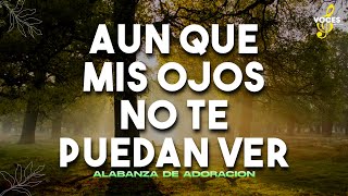 TU ESTAS AQUI: Poderosas Alabanzas De Adoracion Mix - Musica Cristiana 2023 - Himnos Cristianos