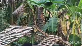 Tripura village people handmade house