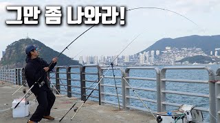 쉴 새 없이 낚시대가 빨려 들어가는 바다 위 최고의 방파제!