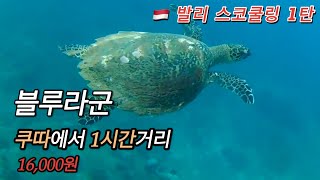 🇲🇨 발리에서 거북이와 수영하고싶다면 여기로 가세요 | 블루라군 & 탄중제푼