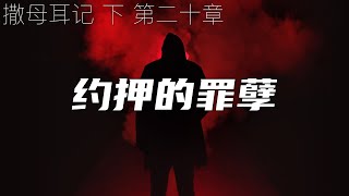 一起读圣经525 -如今的时代，也不缺少约押这样的人- 撒母耳记下 第二十章