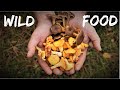 How to Forage for Mushrooms - Wild Food Identification - Chanterelle and other species - Q&A