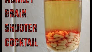 Come Preparare Un Cervelletto Cervello Di Scimmia Cocktail Shot Cocktail4you Clipmega Com