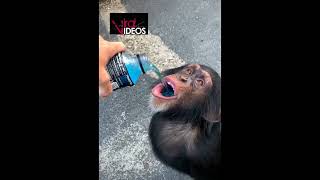 CHANGUITO TOMANDO POWERADE !! (CHANGO TAKING POWERADE)