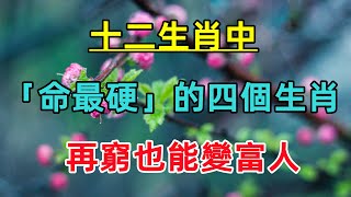 十二生肖中「命最硬」的四個生肖，再窮也能變富人，希望有你！