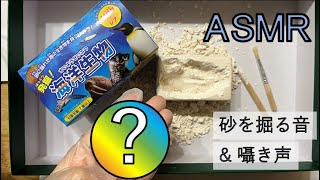 【ASMR】雑談しながら発掘！おもちゃ/digging excavation kit