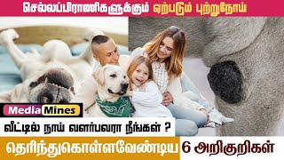 Pet Dog Cancer Symptoms in Tamil | செல்லப்பிராணிகளுக்கும் புற்றுநோய் ஏற்படுமா? | Media Mines