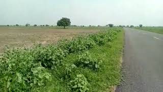 300 to 600 Acres Thoothukudi District 3 lakhs/acre, EB sub station 6km