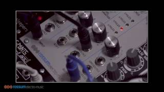 Rossum Electro-Music Evolution Variable Character Ladder Filter Parameter Demo