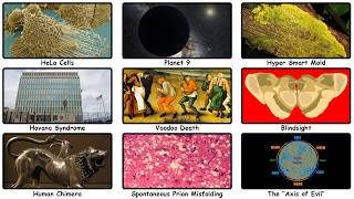 The Most Disturbing Scientific Anomalies We Can't Find An Explanation For
