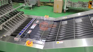 [인테크] (신제품) 정렬기체커 -  (New product) Aligned Checkweigher