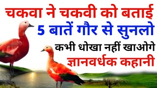 #चकवा ने चकवी को बताया को बताई 5 बातें गौर से सुनलो कभी धोखा नहीं खाओगे। #गजबकहानी