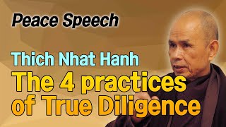 The 4 practices of True Diligence [Thich Nhat Hanh peace Speech 10]
