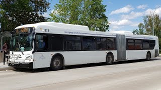 New Bus Smell! Riding Winnipeg Transit #371 (2019 XD60) on Route 60 Pembina