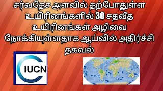 அழியும் நிலையில் உள்ள 30 சதவீத உயிரினங்கள் சர்வதேச அதிர்ச்சி தகவல்