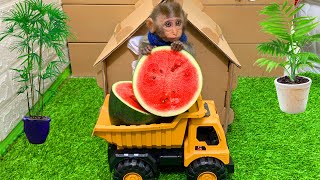 Monkey Baby BoBo become a fruit truck driver