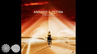 Animato & Pettra - Feelings