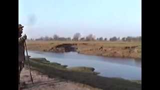 Wildfowling with John Butler and Peter Birdsall