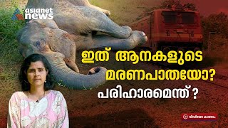 പാലക്കാട്-കോയമ്പത്തൂർ റെയിൽപാത; യാത്രക്കാർക്ക് മനോഹരം, പക്ഷേ കാട്ടാനകൾക്ക് മരണപാത