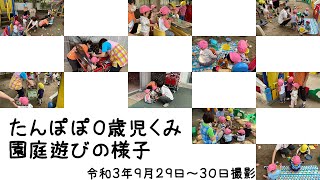 【保育の様子】たんぽぽ０歳児くみ 園庭遊びの様子（園庭の様子）：ちどり保育園＠千葉市認可保育園