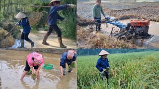 Full video of the process of preparing soil, sowing seeds, planting and harvesting rice plants