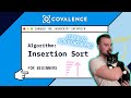 Conquer the JavaScript Interview: Insertion Sort [Beginner Skill Level]