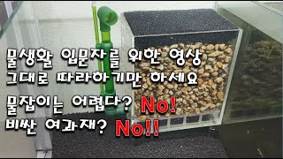 [물생활]물생활 입문자를 위한 기본적인 세팅과 물잡이(Ft.박스여과기)[Tropical fish] Setting method for the primer of the aquarium