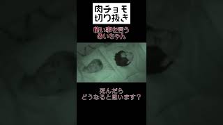 怖い事言うめいちゃん【肉チョモ切り抜き】#切り抜き #肉チョモランマ #shorts