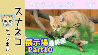 【スナネコチャンネル】“スナネコの子ども”～最終回～　 #15展示場Part10