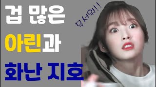 [오마이걸]겁이 많은 아린과 화난지호ㅋㅋㅋㅋ