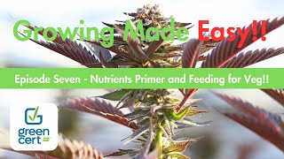 Growing Made Easy! Ep.7 - Nutrient Selection and Feeding for Veg!